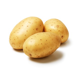 Patates Taze (KG)
